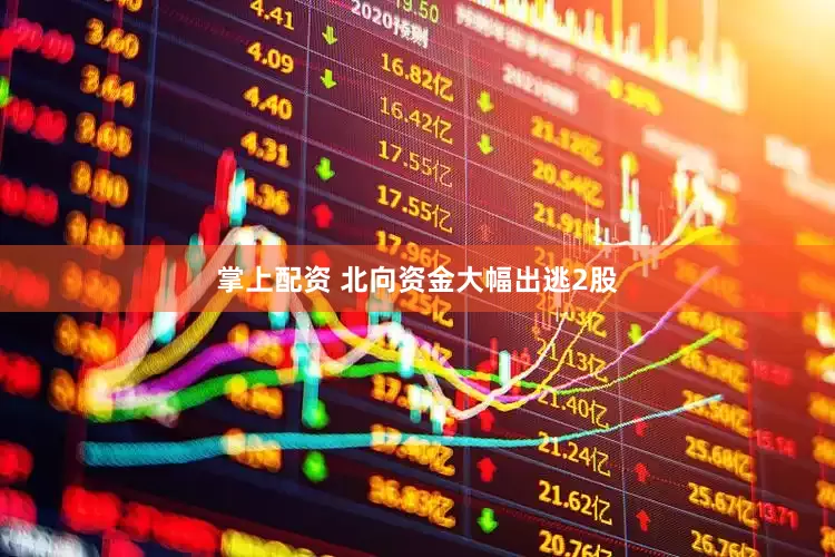 掌上配资 北向资金大幅出逃2股