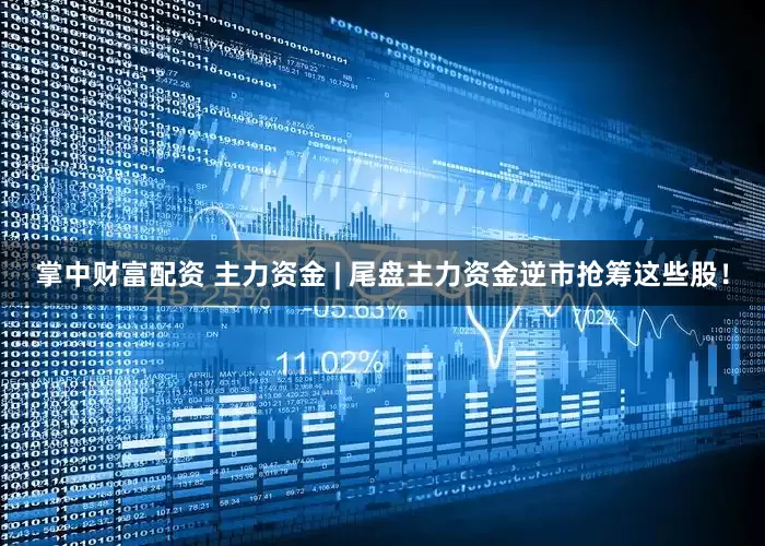 掌中财富配资 主力资金 | 尾盘主力资金逆市抢筹这些股！