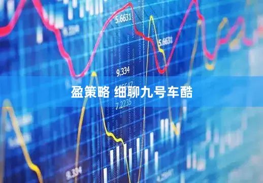 盈策略 细聊九号车酷