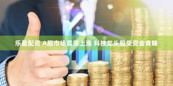 乐盈配资 A股市场震荡上涨 科技龙头股受资金青睐